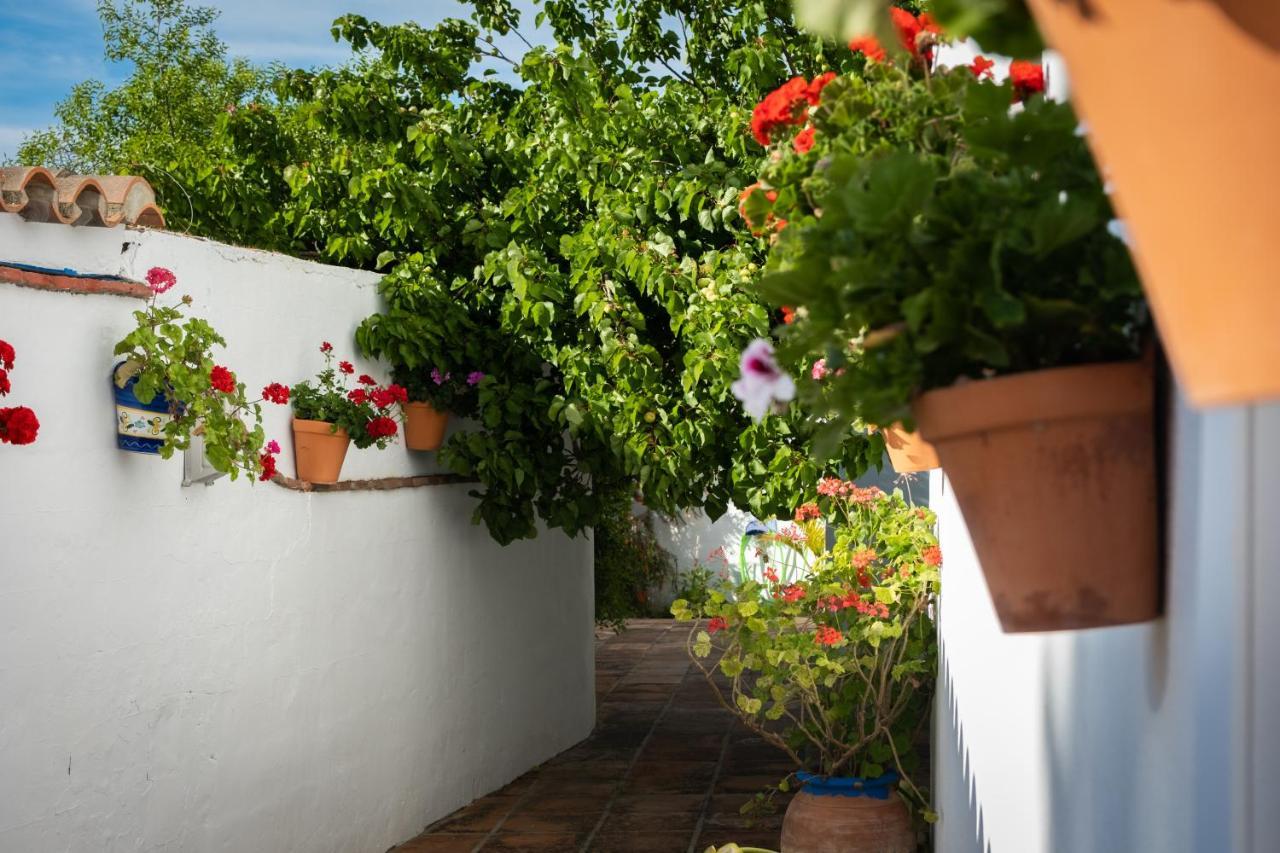 Hostal Cabo Roche Conil de la Frontera Kültér fotó
